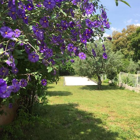Oustaou Di Ercole Διαμέρισμα Bormes-les-Mimosas Εξωτερικό φωτογραφία