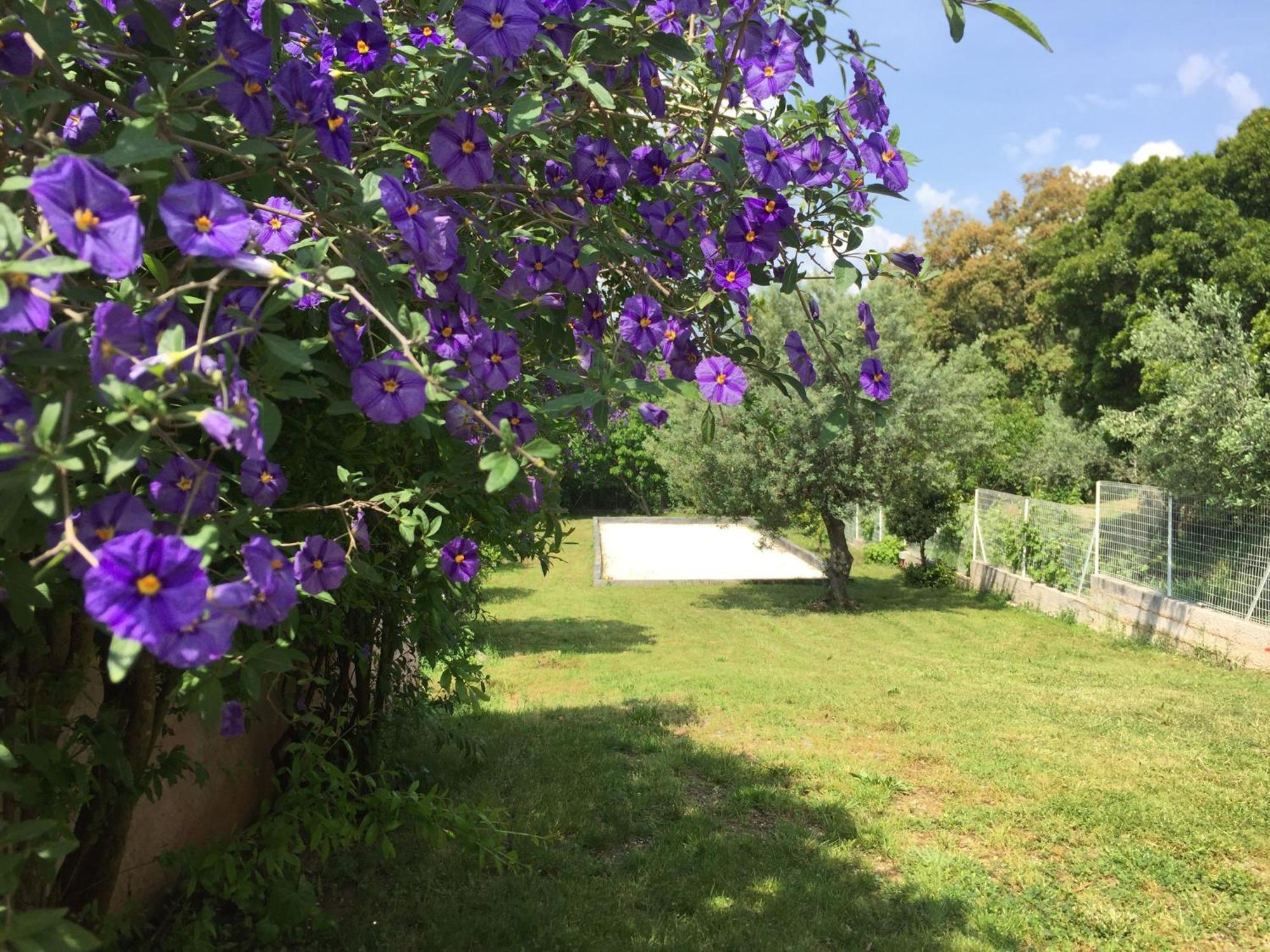 Oustaou Di Ercole Διαμέρισμα Bormes-les-Mimosas Εξωτερικό φωτογραφία
