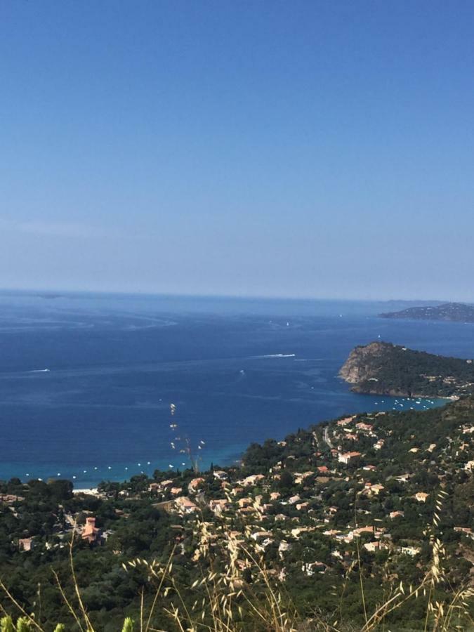 Oustaou Di Ercole Διαμέρισμα Bormes-les-Mimosas Εξωτερικό φωτογραφία